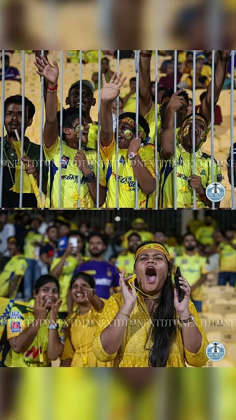 Chennai fans in electrifying energy as they witness the match at the Chepauk Stadium