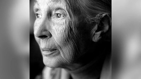 Jane Goodall