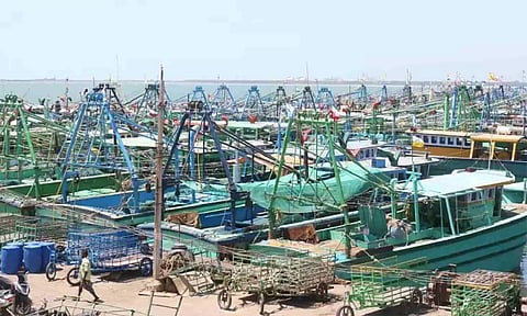 Annual fishing ban announced in Eastern Coast of TN, begins from April 15
