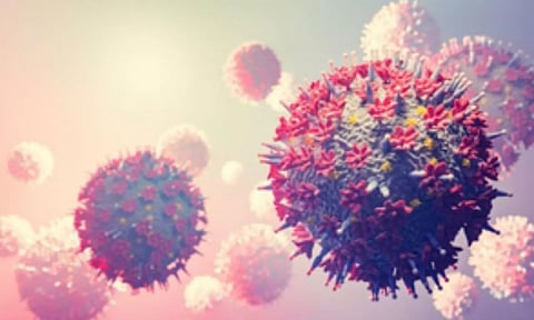 Representative Image (IANS)