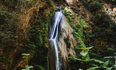 Representative Image (ANI)