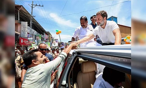 Congress Leader Rahul Gandhi ( ANI)