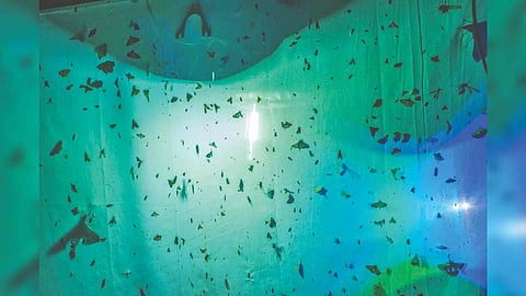 Representative Image