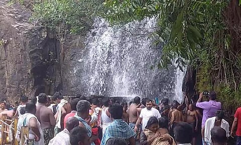Visitors begin to throng Papanasam Agasthiyar falls as water flows in force