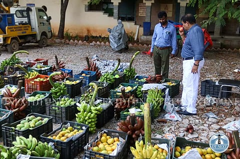 Food Safety Department seized artificially ripened mangoes and bananas, imposing fines on violators (Photo: Hemanathan M)