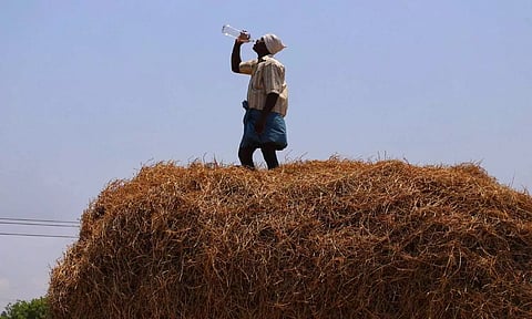 Man quenches his thirst as intense heat wave spreads in Tamil Nadu (Credits: Justin George)