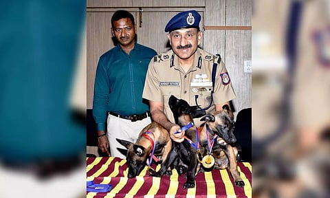 Greater Chennai Police (GCP) Commissioner Sandeep Rai Rathore with the three Belgian Shepherd puppies