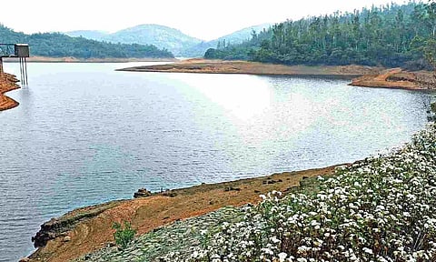 Long dry spell leaves even cool Ooty struggling for water
