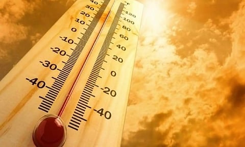 Representative Image (ANI)