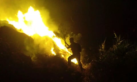 The raging fire being put out by the forest department staff in Valparai.