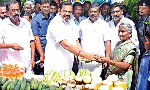 AIADMK general secretary Edappadi K Palaniswami handing out fruits to beat summer heat to a woman in Salem on Saturday