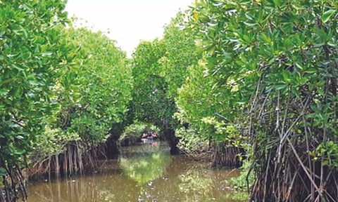 Representative Image&nbsp;