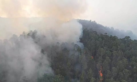 Smoke billows up on the Upper Hills of Kodaikanal after dousing the wildfire.&nbsp;