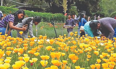 Tourists thronging the Bryant Park in Kodaikanal on Sunday