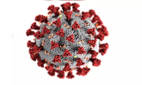 Representative Image (ANI)