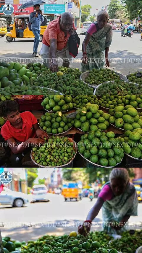 Summertime bliss: Irresistible raw mangoes, freshly sold in the streets of Mylapore