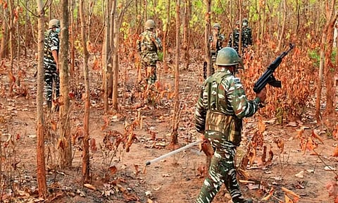 Representative Image (ANI)