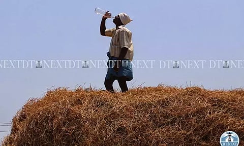 A labourer quenching his thirst (Photo: Justin George)&nbsp;
