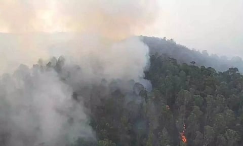 Smoke billows up on the Upper Hills of Kodaikanal after dousing the wildfire.