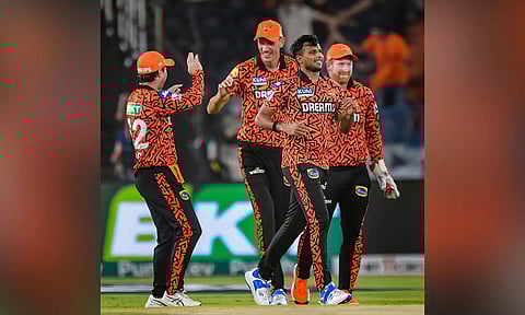 SRH Players celebrating after a wicket (PTI)