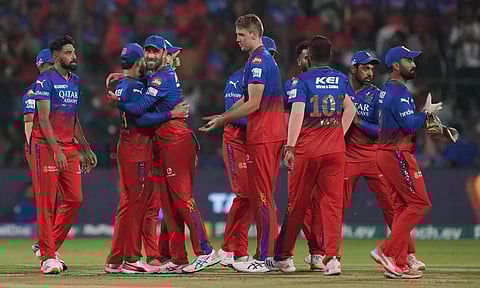 RCB players celebrates after a wicket (PTI)