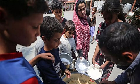 The World Central Kitchen charity organization provides meals to Palestinians (ANI)
