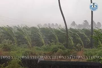 Banana trees were destroyed following strong winds (Photo: V Kalyanasundaram)