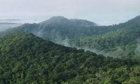 Representative Image&nbsp;