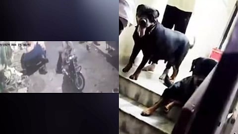 CCTV footage (Photo/Thanthi TV)