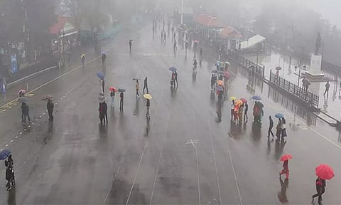 Rain in Shimla district (ANI)