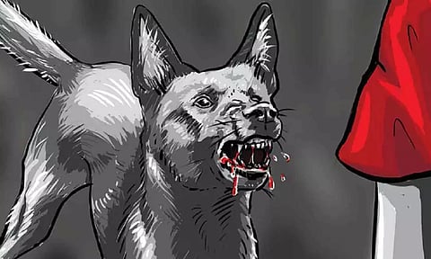 Representative Image (Illustration: Ritwikkh Roy)