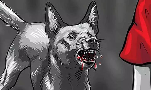 Representative Image (Illustration: Ritwikkh Roy)