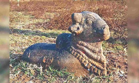 Chola-era Nandhi, Vishnu granite idols found in Thanjai
