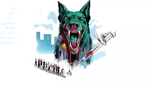 After spate of dog attacks, Chennai residents seek better waste management to control stray menace