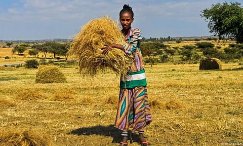 Intellectual property: How to stop Western theft