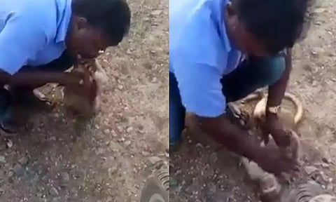 Taxi driver brings a monkey back to life (Screengrab- X/@AMAZlNGNATURE)