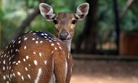 Representative Image&nbsp;