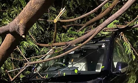 Representative Image [Photo - IANS]