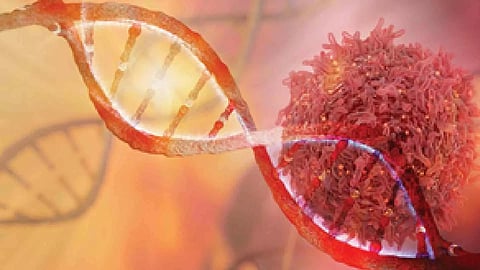 Representative Image (Photo/IANS)