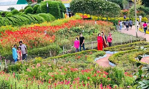 Kodaikanal Hills&nbsp;