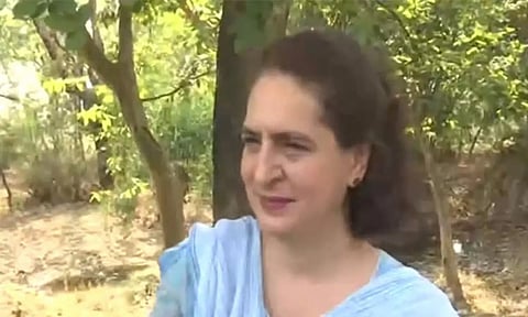 Priyanka Gandhi (ANI)