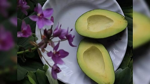 Representative Image (Photo/ANI)