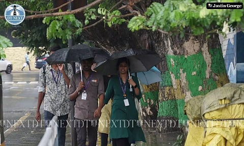 Rain (Photo: Justin George)