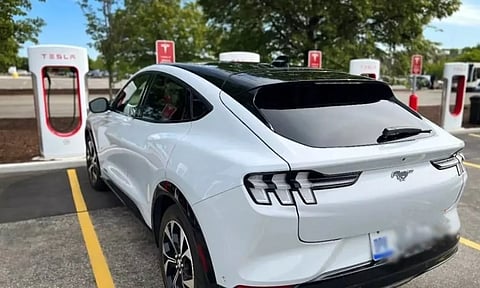 Imported vehicles in South Korea (IANS)