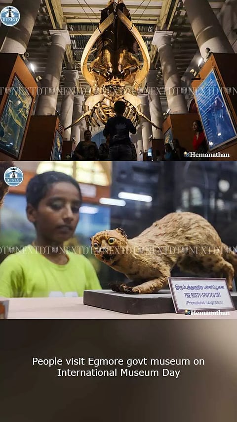 People visit Egmore govt museum on International Museum Day