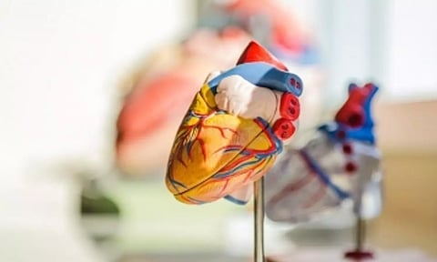 Representative image (IANS)