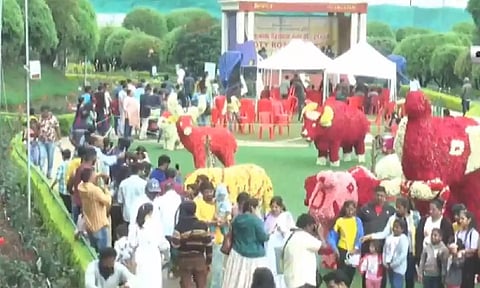 Ooty flower show (Screengrab)