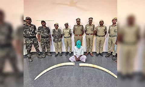 The accused Bomman with the recovered tusks