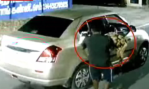 CCTV footage showed mysterious persons steals goats (Thanthi TV)