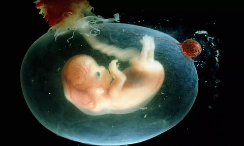 Scientists calculated the energy needed to carry a baby: It’s a lot